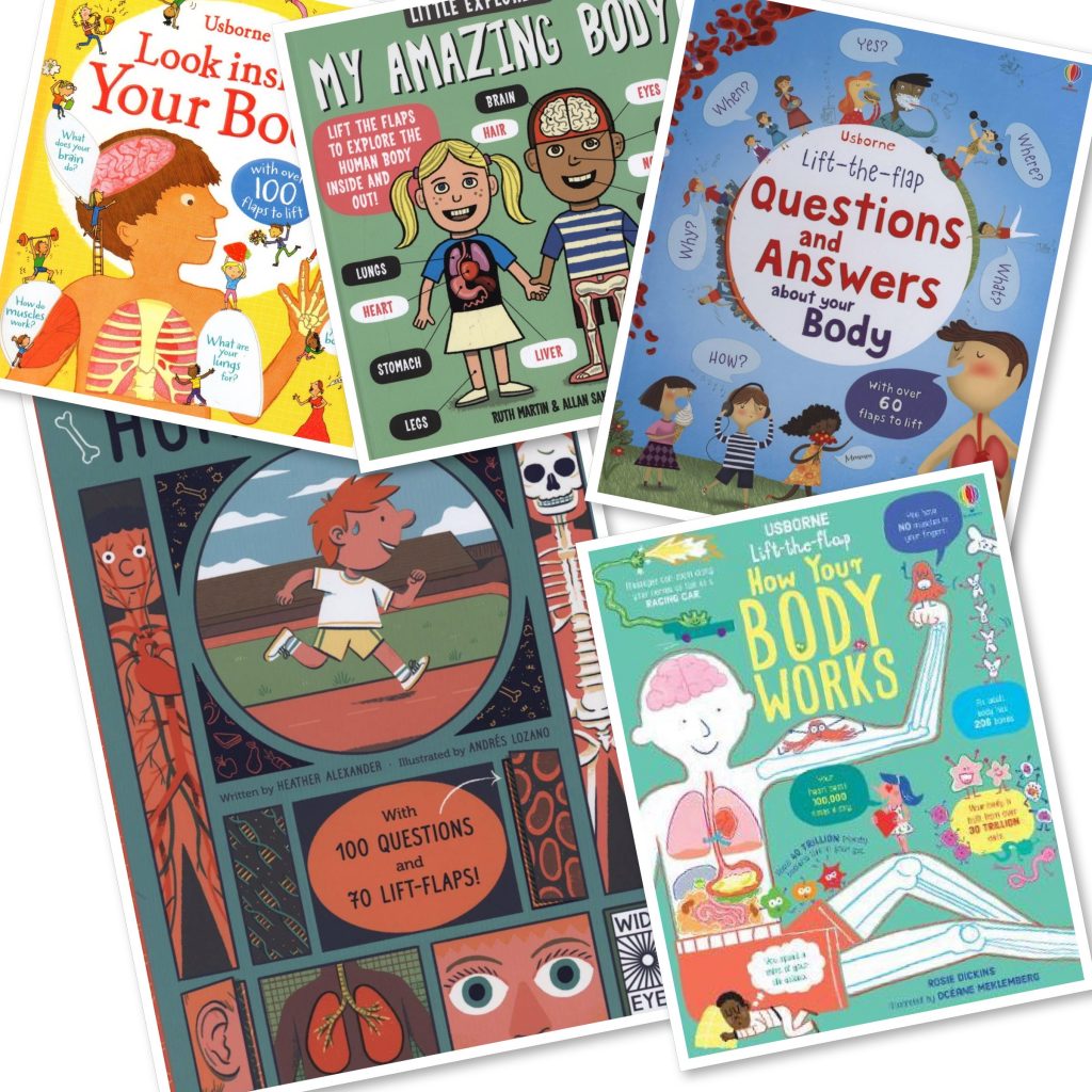 All About the Body Topic Box – The Book Nook