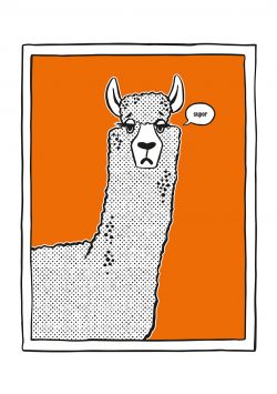 Limited Edition Signed Art Print: Pizazz That Llama by Sophy Henn