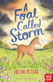 *Signed Copy* A Foal Called Storm by Helen Peters