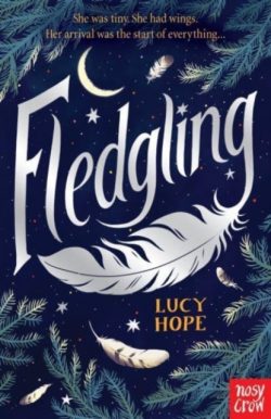 Fledgling by Lucy Hope