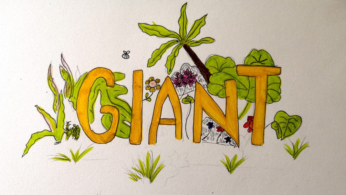 Giant by Nicola Skinner, reviewed by Aysha (11)