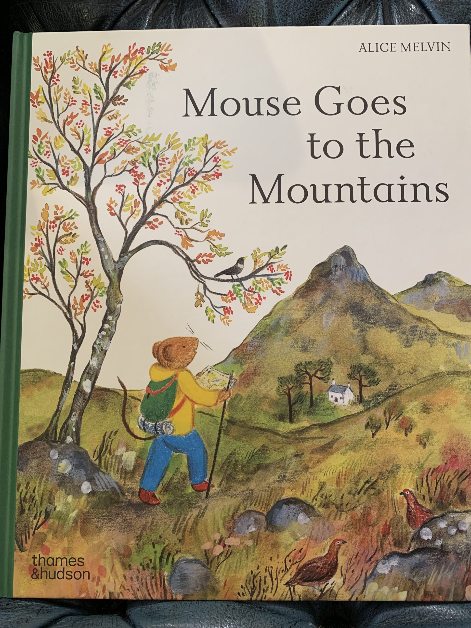 *Signed by Alice Melvin, with art print* Mouse Goes to the Mountains by Alice Melvin
